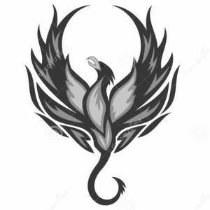 Meet your Posher, Fausto